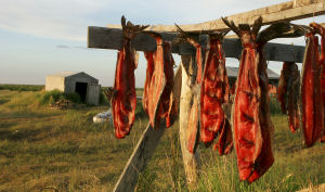 Drying fish